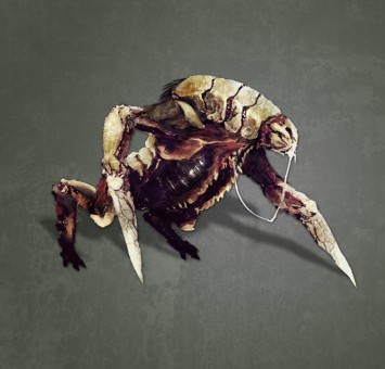 Alien Illustration "Leapers" für das Board Game "Rogue Squad"